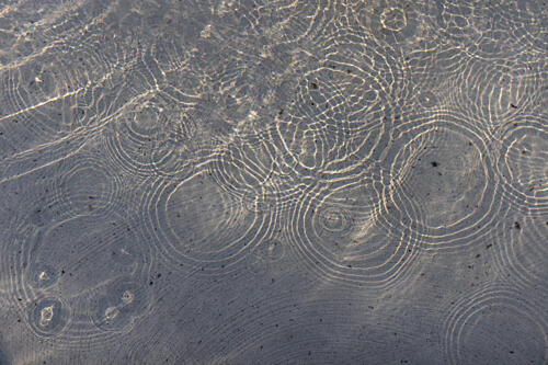 Sunlit Water Ripples Art Print