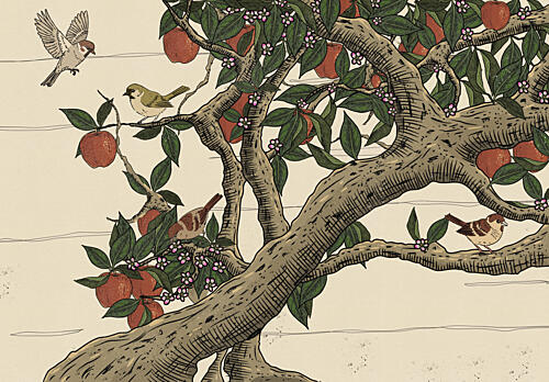 Birds in Apple Tree Art Print