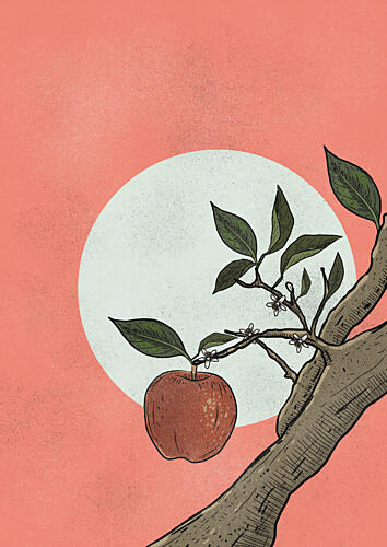 Apple Tree Sun Art Print by Nicholas