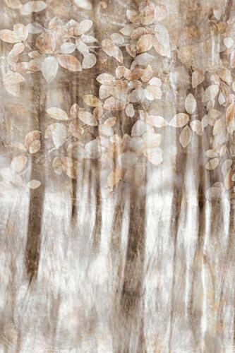 Dreamy Woodland Leaves Art Print