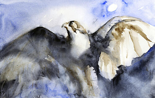 Majestic Falcon Flight Art Print by RodMacIver