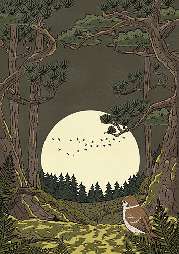 Moonlit Forest Bird Art Print