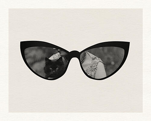 Black Cat Eye Reflection Art Print by Wild Violets