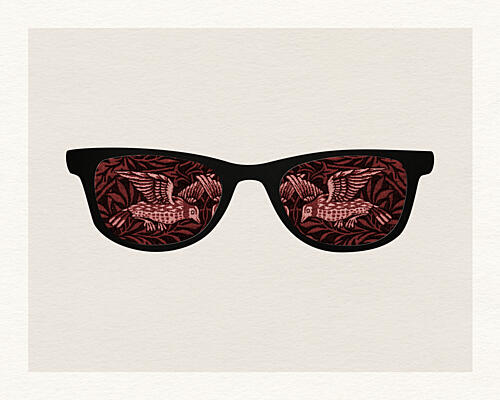 Classic Bird Reflection Art Print