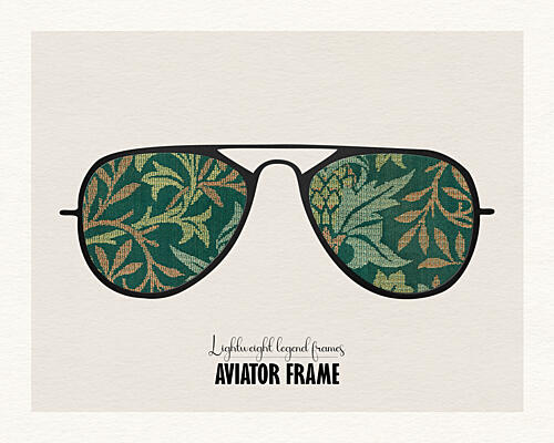 Botanical Aviator Frames Art Print by Wild Violets
