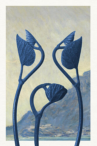 Blue Mountain Sprouts Montagne reproduction