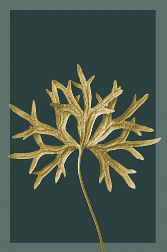 Golden Botanical Leaf Doré reproduction