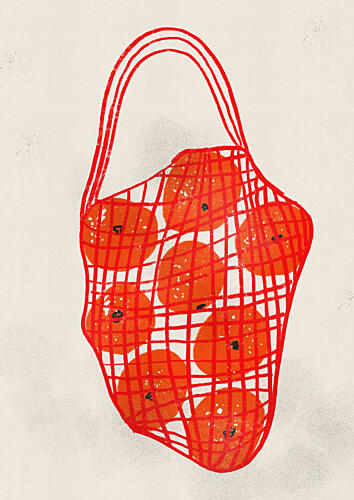 Vibrant Orange Mesh Bag Art Print