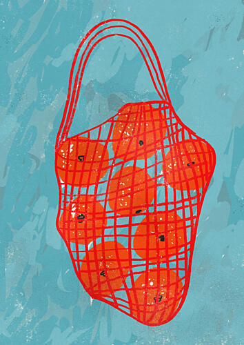 Fresh Oranges Mesh Bag Art Print by Debbie Nicholas