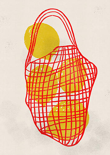 Fresh Lemons Red Bag Art Print by Debbie Nicholas