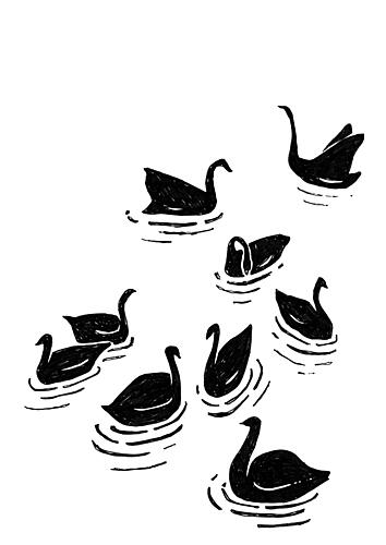 Graceful Black Swans Art Print