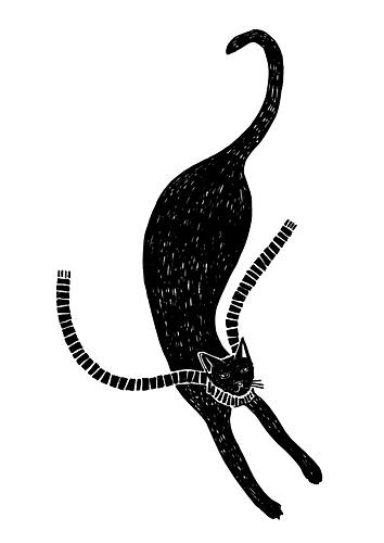 Elegant Black Cat Floating Art Print