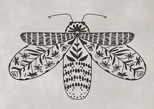 Intricate Folk Moth Art Print