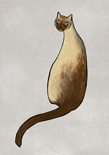 Graceful Siamese Cat Art Print