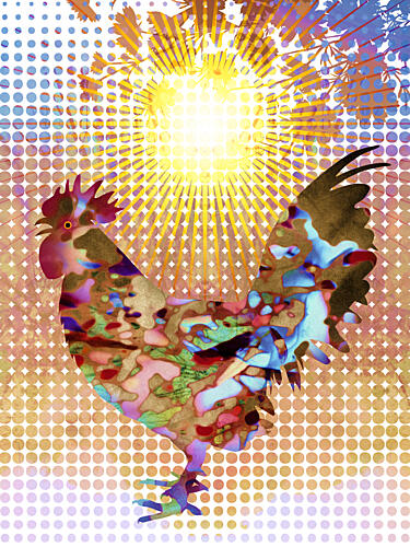 Vibrant Rooster Sunrise Art Print