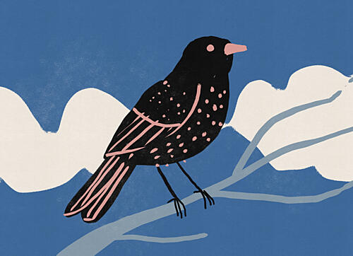Spotted Bird on Branch Art Print