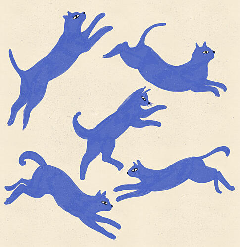 Playful Blue Cats Art Print