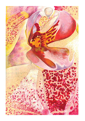 Vibrant Orchid Bloom Art Print by Julia Holmes