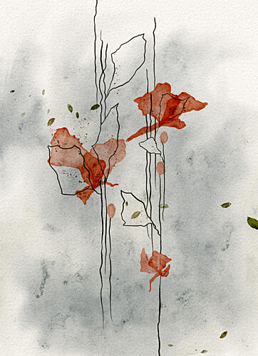 Delicate Poppies Bloom Art Print by Ankie Kooi
