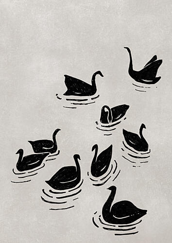 Elegant Black Swans Art Print