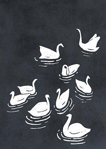Elegant Swans Drawing Art Print
