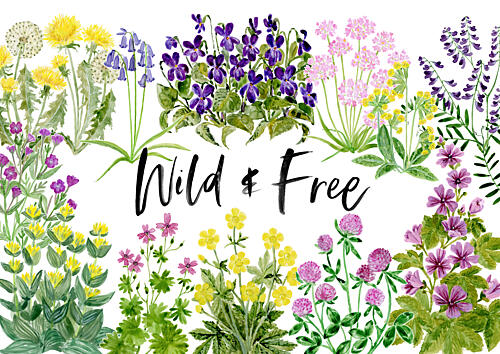 Wild and Free Wildflowers Art Print