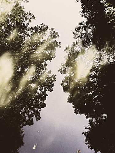 NatureUnknowns Mirrored Sky Art abstrait reproduction