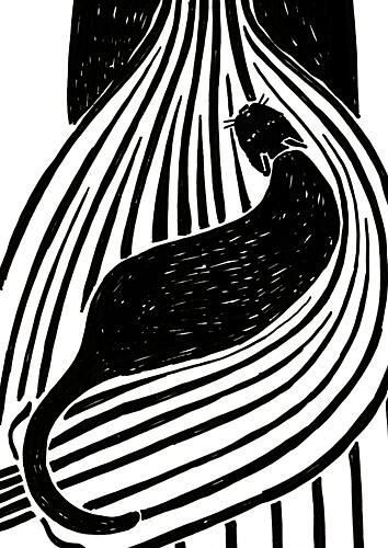 Black Cat Lines Art Print by Rosana Laiz Blursbyai