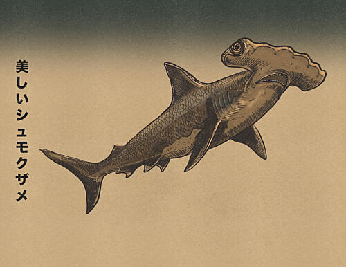 Beautiful Hammerhead Shark Art Print by Nicholas