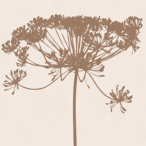 Delicate Botanical Silhouette Art Print