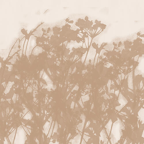 Soft Botanical Shadows Art Print