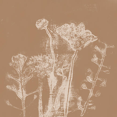 Beige Summer Flowers Art Print