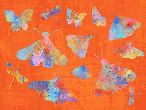 Colorful Splatter Insects Art Print by Aliya Putrus