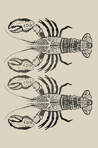 Drawn Lobster Pair Art Print by Casa Cartissi