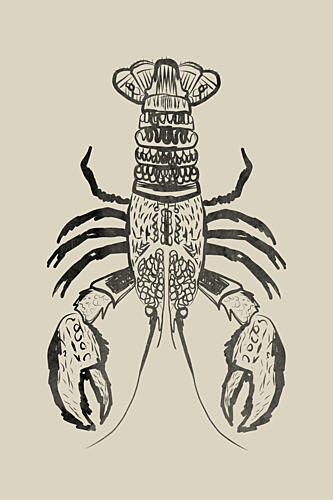Rustic Lobster Drawing Art Print