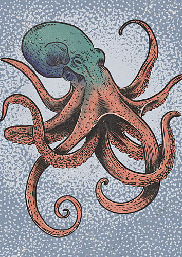 Vintage Ocean Octopus Océan reproduction