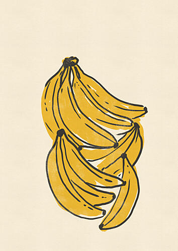 Yellow Banana Bunch Alimentation reproduction