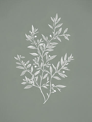 Delicate Botanical Drawing Art Print by Kathrin Pienaar