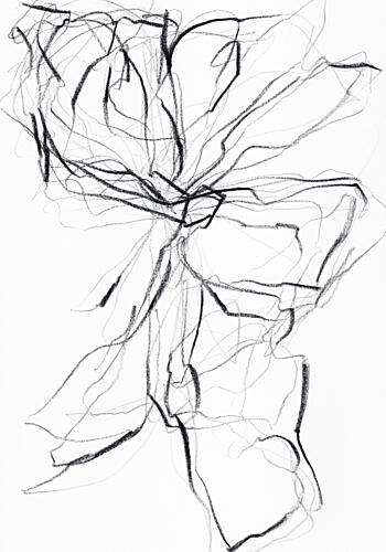 Flowing Abstract Lines Art Print by uplusmestudio