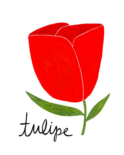 Vibrant Red Tulip Art Print by Susan Black