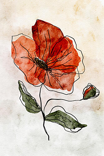 Red Watercolor Poppy Aquarelle reproduction
