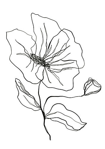 Delicate Flower Sketch Art Print by Ankie Kooi