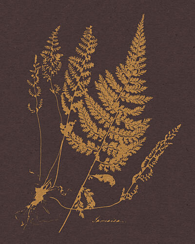 Golden Fern Botanical Doré reproduction