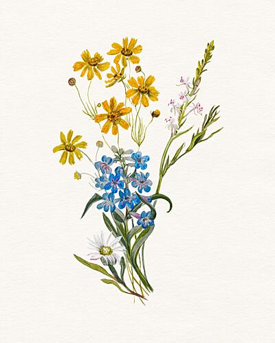 Colorful Wildflower Bouquet Art Print by Wild Violets