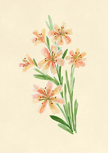 Peach Watercolor Flowers Aquarelle reproduction