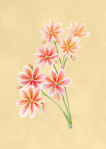 Pink and Orange Blooms Art Print