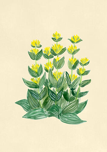 Fresh Yellow Flowers Art Print