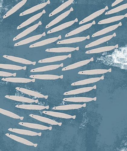 Flowing School of Fish Art Print by Josie George