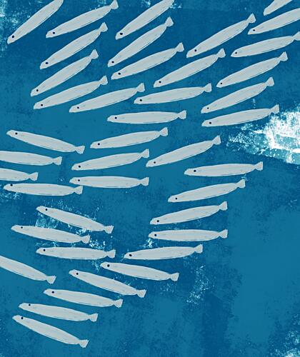 Blue School of Fish Art Print by Josie George