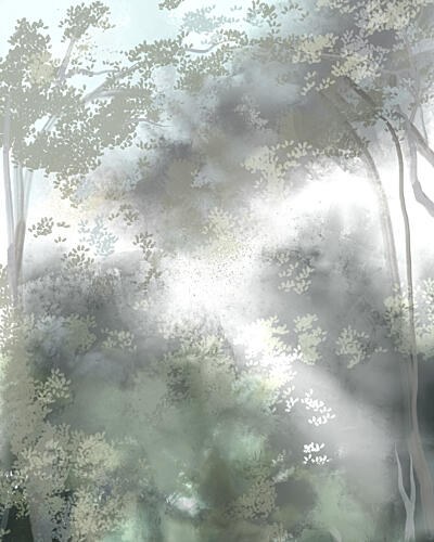 Sunbeams Through Forest Mist Art Print